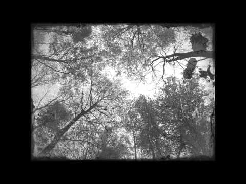 Lyrics Placebo ~ Centrefolds