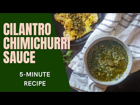 Cilantro Chimichurri Recipe | ThisThatMore