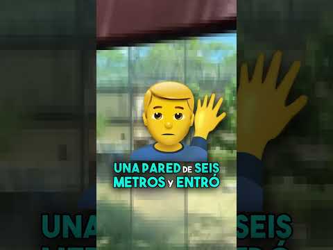 Leona desata caos en zoológico de Brasil por un hombre que entró y acabó muy mal 💀🤔 #Shorts