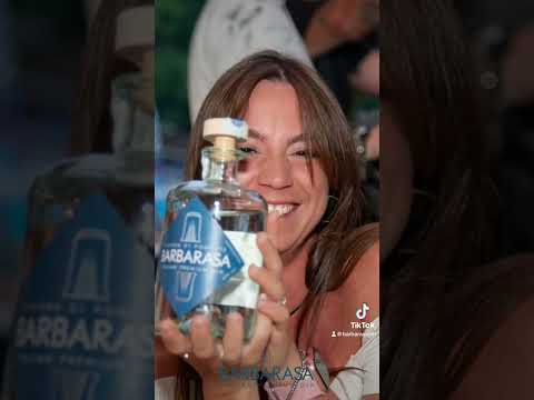 Barbarasa Summer 2023