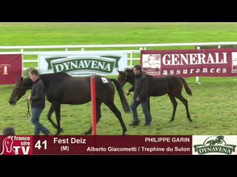 Show AQPS 2015 : lot 41 - N - M15 - Alberto Giacometti & Trephine du Sulon