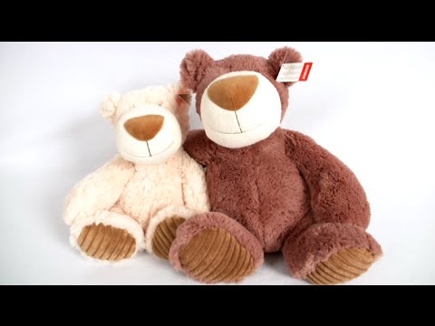 Mocha and Latte Stuffed Teddy Bears from Aurora