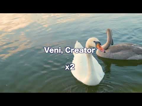 Opwekking 319 Veni Creator Spiritus