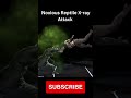 Mk X Mobile Noxious Reptile X Ray Attack Shorts