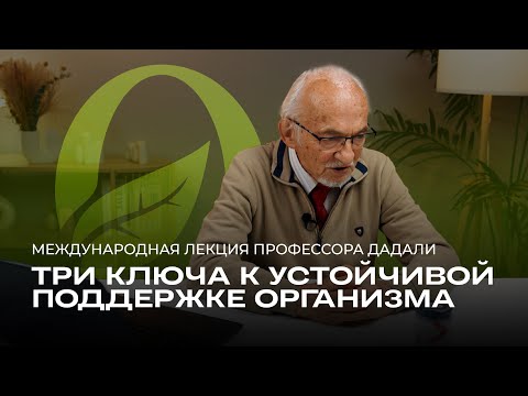 ✨ Формируем три ключевых понимания устойчивой поддержки организма
