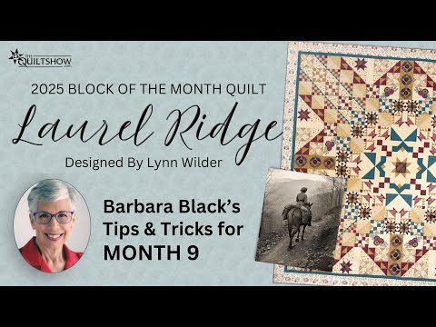 Block of the Month Quilt - Laurel Ridge - Month 9 - Nine Patch in a Star
