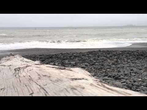 Rialto Beach in Olympic National Park - La Push, WA
