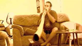 didgeridoo yidaki vibes bloodwood