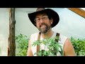 Brett McFarland - I Grew Weed (Official Music Video)