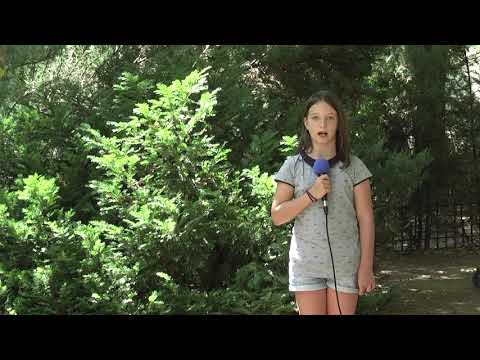 SABRINA NICOLAE SI VICTORIA BARDAN - Cât zahăr conține sucul pe care-l consumi la cinema?