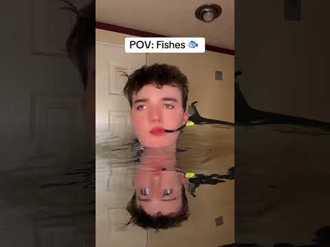 POV: Fishes.