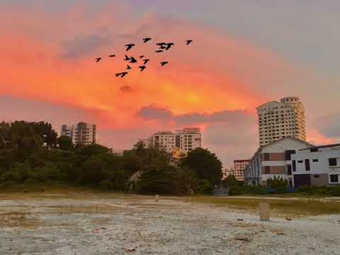 Feel the nature | capture by Hridoy HK hossain | Penang island
