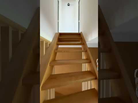 Vidéo