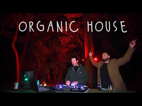 Deep Organic House Forest Mix // Hermanez, Kyotto, PROFF & more!