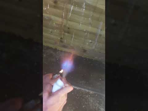 Teil 1: Milbenbefall im Hühnerstall: Lass sie brennen