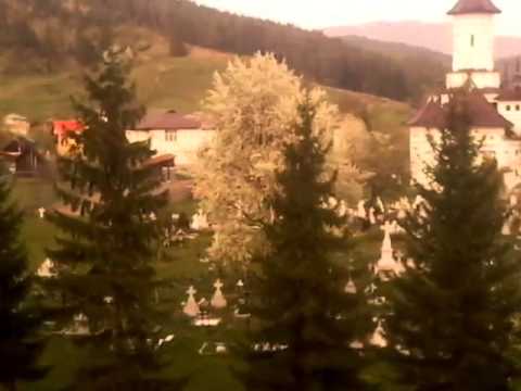 Ion paladi bucovina by danutz boss