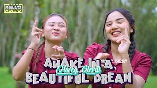 Download lagu DJ AWAKE IN BEAUTIFUL DREAM mp3