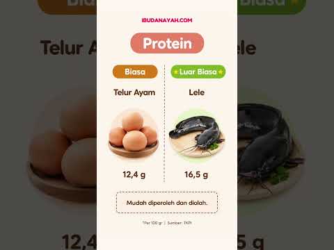 Biasa vs Luar Biasa! 6 Perbandingan Nutrisi MPASI yang Wajib Bunda Tahu Sekarang #ibudanayah