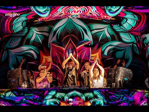 Kronnyk @ Psymind 2025 FULL VIDEO