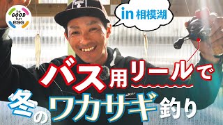【相模湖】バス用リールで行ける！桟橋のドーム船ワカサギ釣り