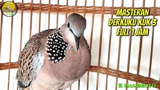 Download lagu Masteran FULL 1 JAM Derkuku Kuk 3 || Tekukur Kuk3 Bakal Langsung NYAUT Gacor Burung Derkuku Anda mp3