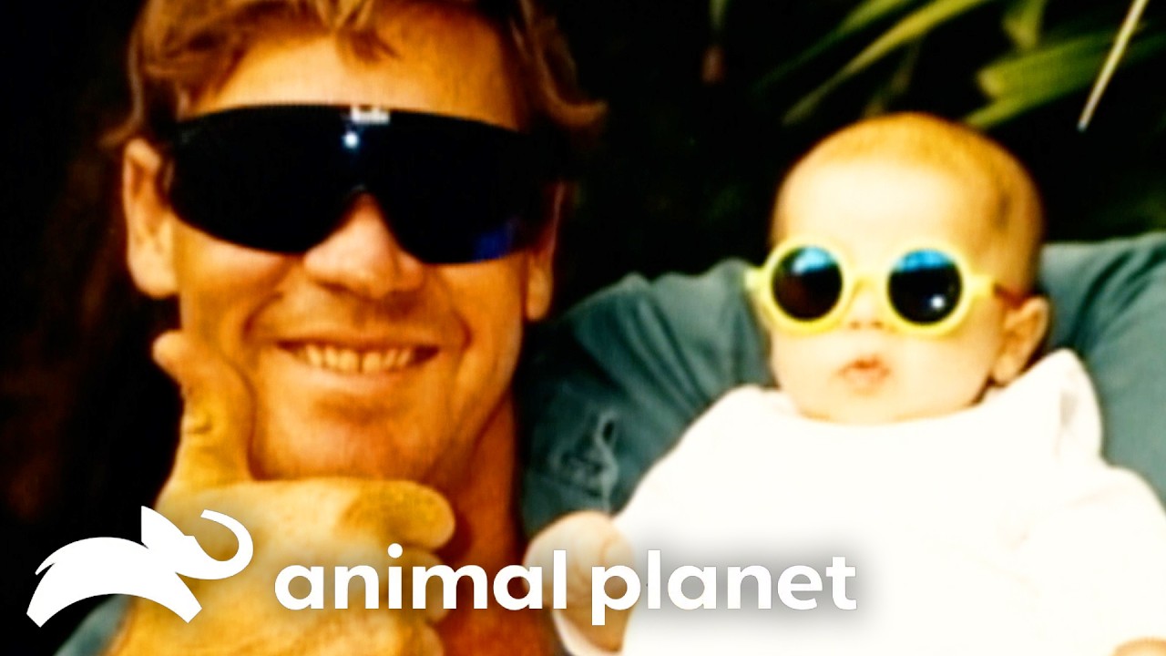 The Birth of Robert Irwin | The Crocodile Hunter | Animal Planet