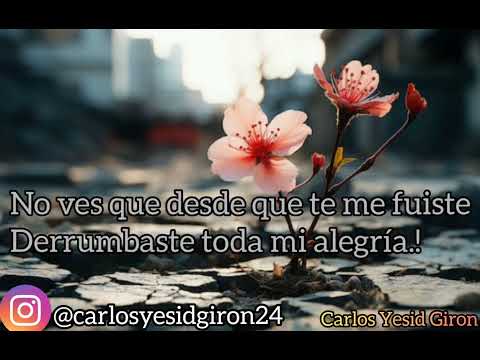 Darío Gómez - Que diciembre tan solo (Letra)