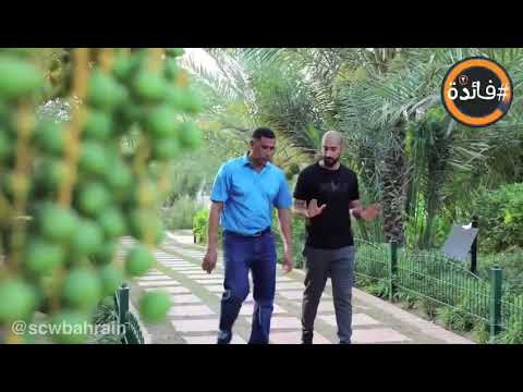 "فائدة الرمضاني ٣".. التمارين المناسبة في رمضان