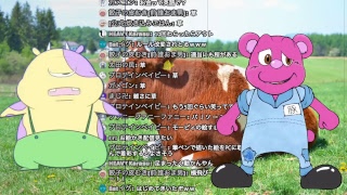 モーピィのゆるゆるな夜