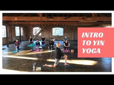 Yoga Evolved - Intro to Yin Yoga