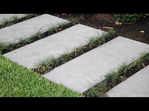 Lusher Landscaping & Design video.