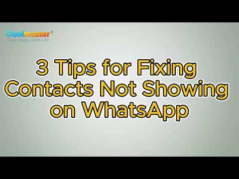 How to Fix Contacts Not Showing on WhatsApp