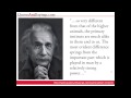 Albert Einstein Quotes 