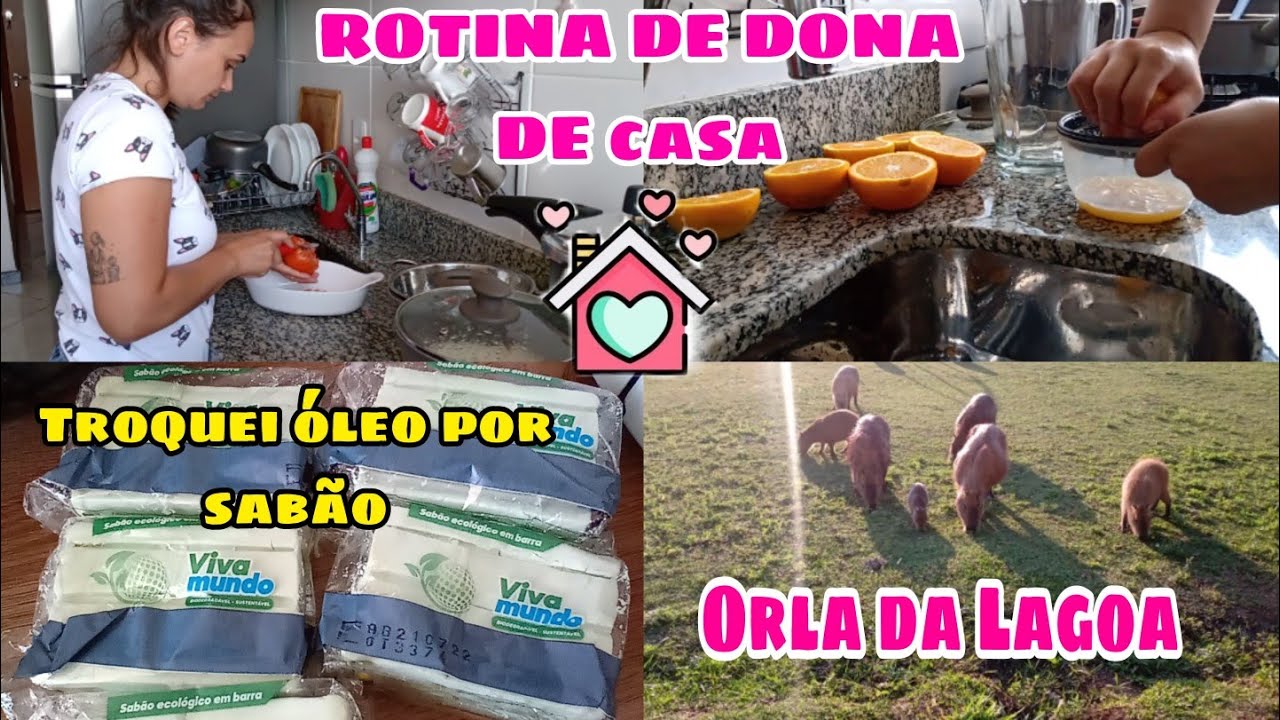 VLOG: ALMOÇO CASEIRO/ TROCA DE Óleo USADO POR SABÃO ECOLÓGICO+ FOMOS NA ORLA DA LAGOA