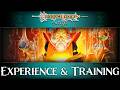 Experience & Training | How to Play AD&D | DragonLance Saga