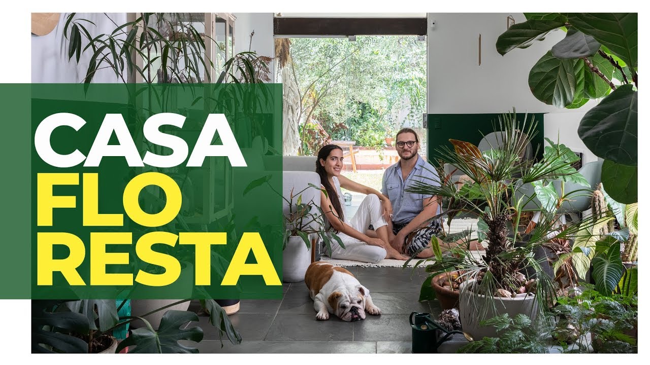ESSA CASA É QUASE UMA FLORESTA - DECORAR COM PLANTAS DENTRO DE CASA - URBAN JUNGLE