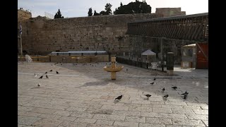 שחרית בשידור חי מהכותל המערבי ז' ניסן