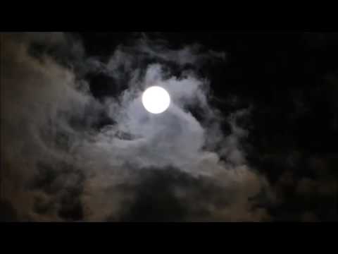 Royal Pressure (Lorde x David Bowie/Queen x Vitas)