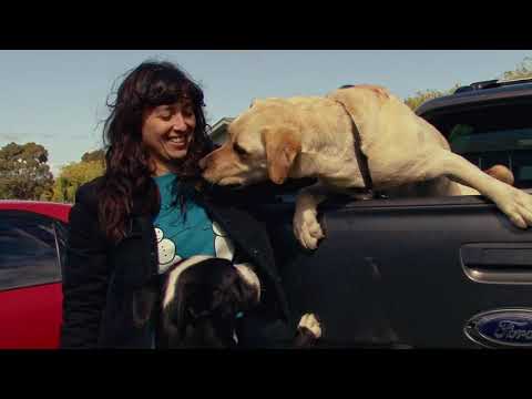 The Beths - "Auckland, New Zealand, 2020" (Official Trailer)