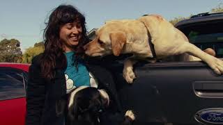 The Beths - "Auckland, New Zealand, 2020" (Official Trailer)