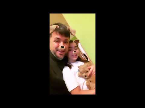 Экс-супруг Ани Лорак опубликовал фото и видео с 9-летней дочерью от певицы