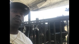 Searching For Some BBQ in California "Primo Foods"