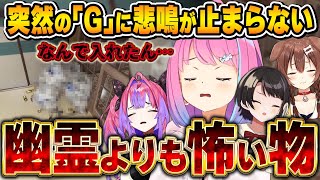 絶叫!観察!撮影!突如現れる「G」を見たホロメンの反応まとめ【呪いのデジカメ/姫森ルーナ/ホロライブ切り抜き】