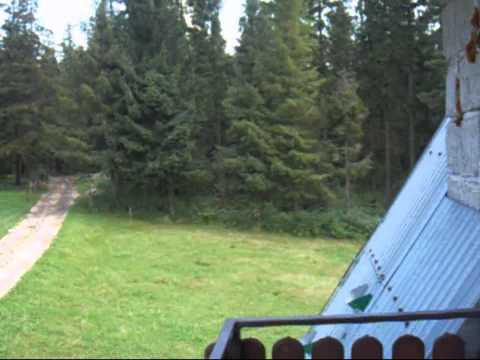 Murzasichle, ul.Sądelska 130, http://www.murzasichle.zz.mu