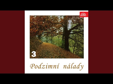 Dubnový strom v říjnu