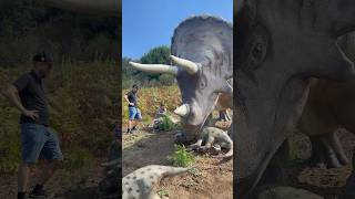 Adventure! Let’s go meet dinosaurs🦖✨just 30 minutes from Rome 📍Dino Park WORLD OF DINOSAURS