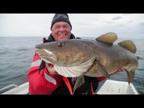 Norwegen-Magazin 1/20 + DVD