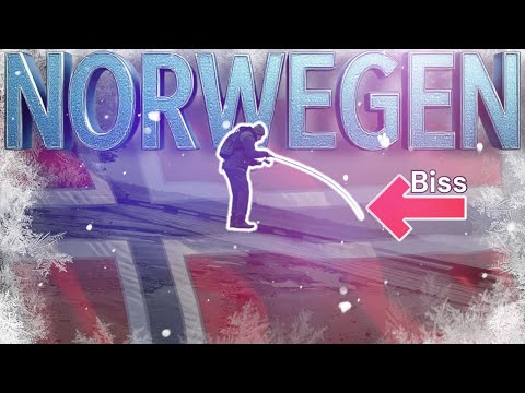 NORWEGEN UFERANGELN EXTREM! Gummifisch-Action auf POLLACK, DORSCH & MAKRELE  Spinnfischen an Fjorden