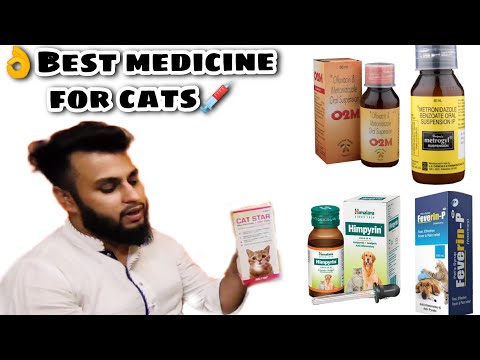 BEST MEDICINE FOR CATS FEVER |  LOSE MOTION | VOMITING |FUNGAL INFECTION |IMMUNITY INCREASE PET INFO