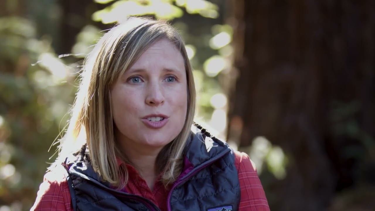 2024 SBIFF Trailer - Giants Rising